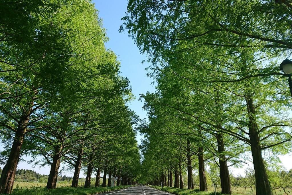 Farm Stay Inn Sanzaemon-Tei 母屋guesthouse Shiga-Takasima Traditional Japanese Architecture House Eksteriør billede