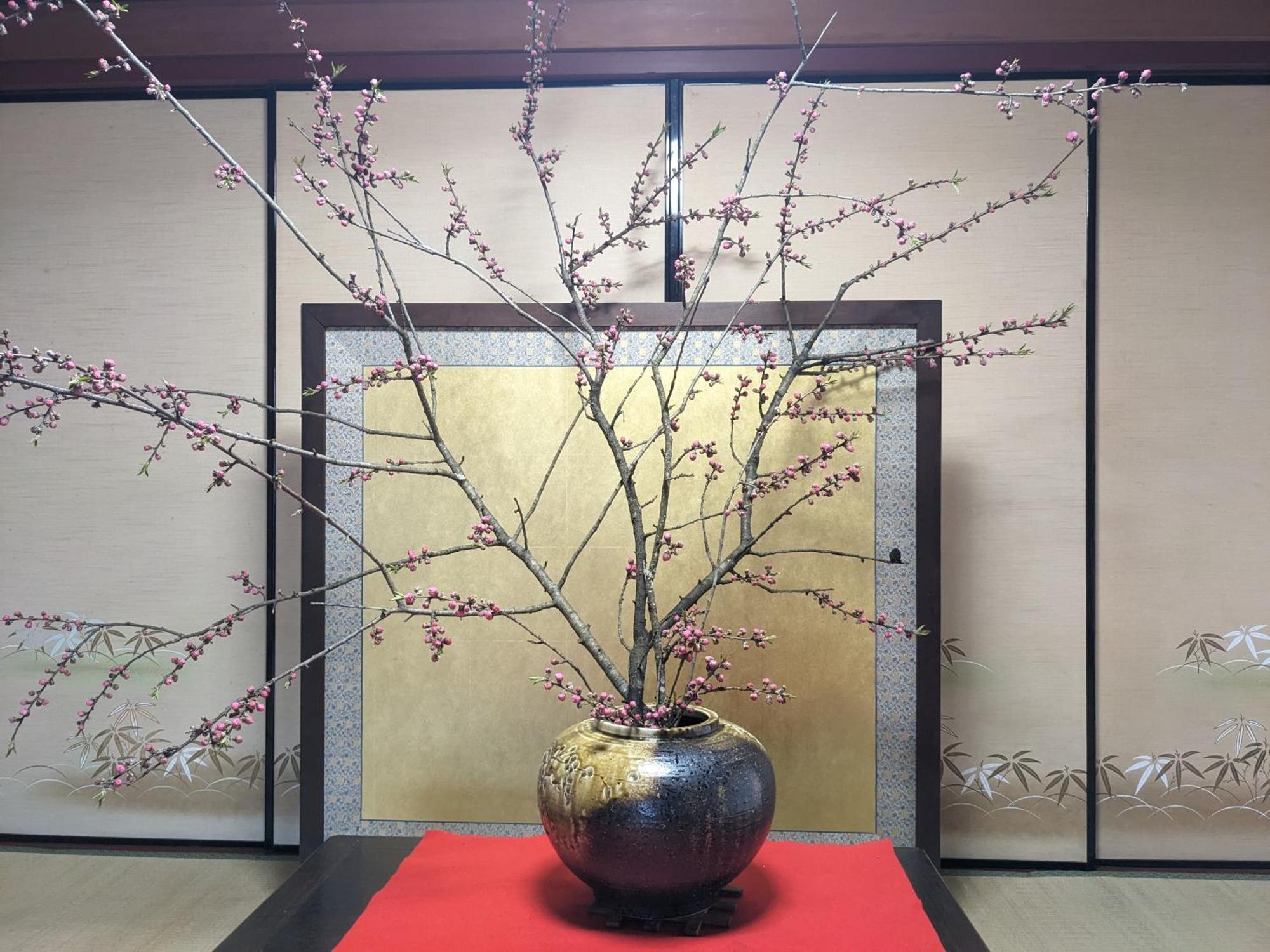 Farm Stay Inn Sanzaemon-Tei 母屋guesthouse Shiga-Takasima Traditional Japanese Architecture House Eksteriør billede
