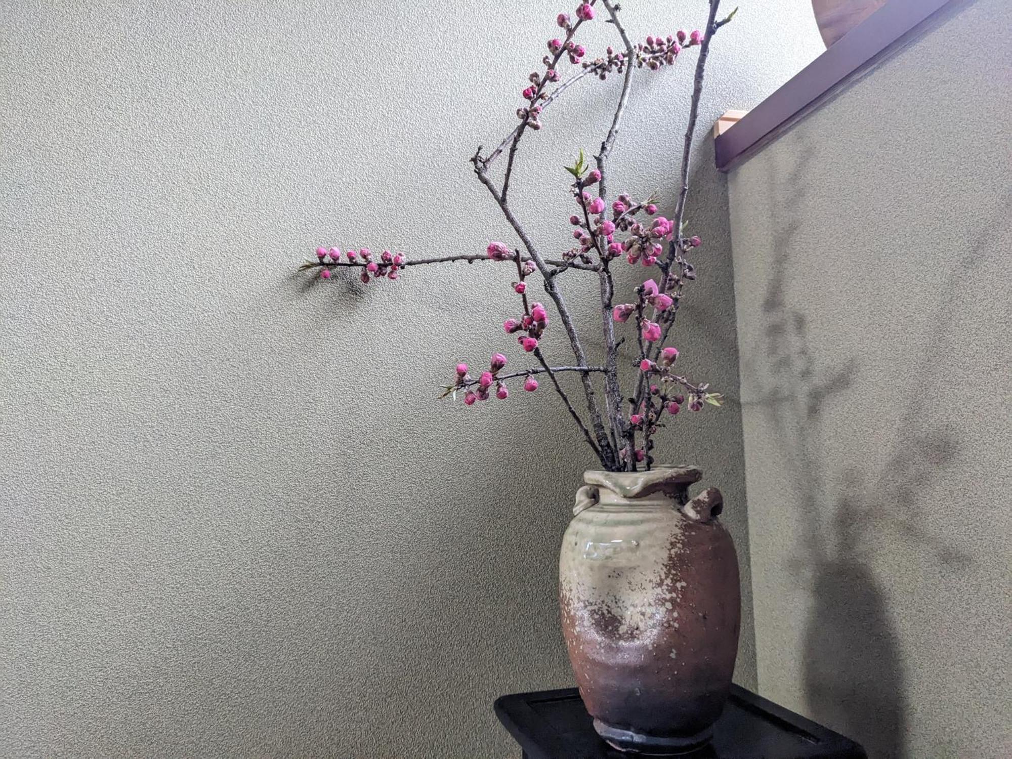 Farm Stay Inn Sanzaemon-Tei 母屋guesthouse Shiga-Takasima Traditional Japanese Architecture House Eksteriør billede